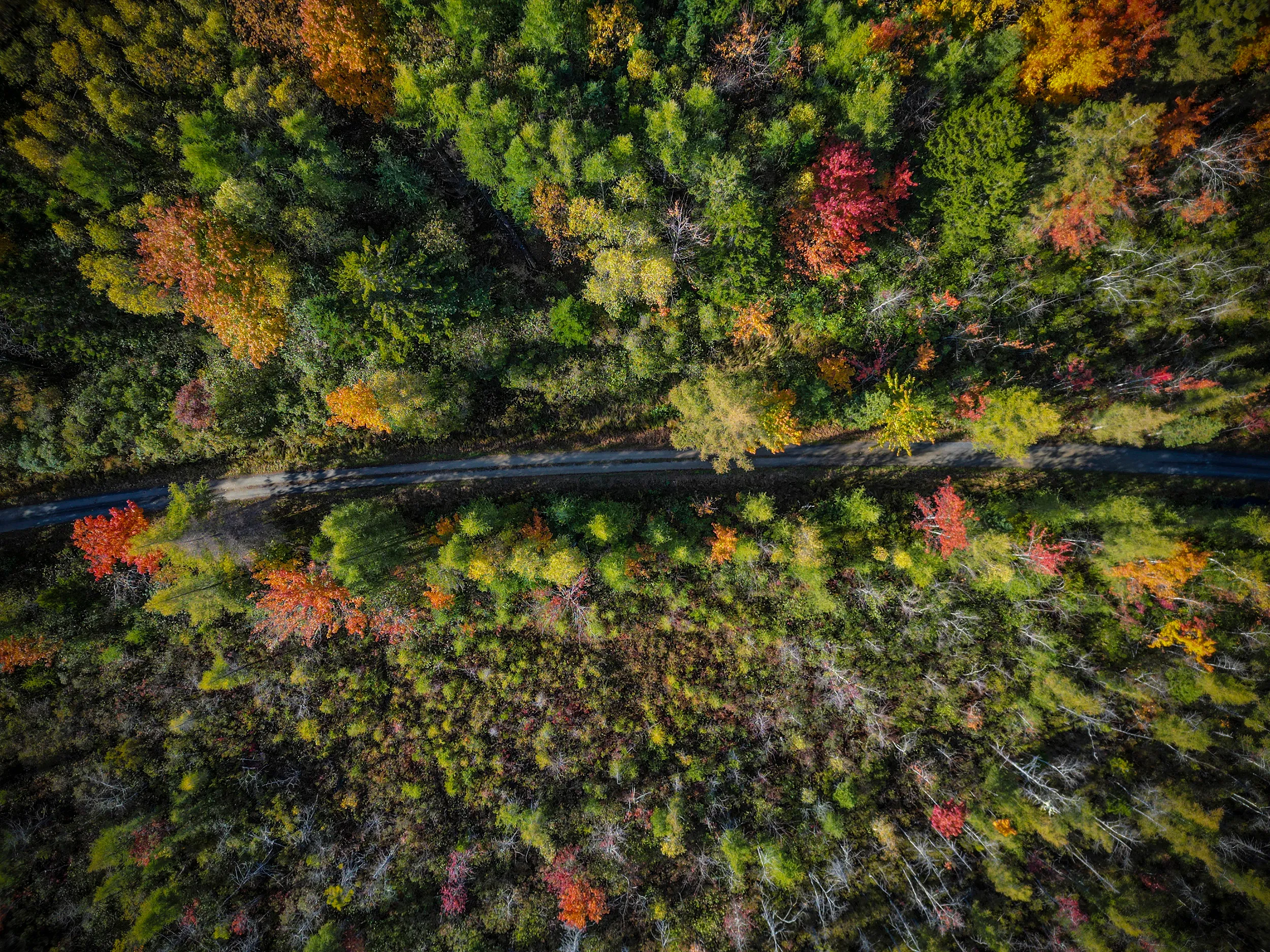 Bay to Bay Trail, Nova Scotia — gallery photograph 1 of 30