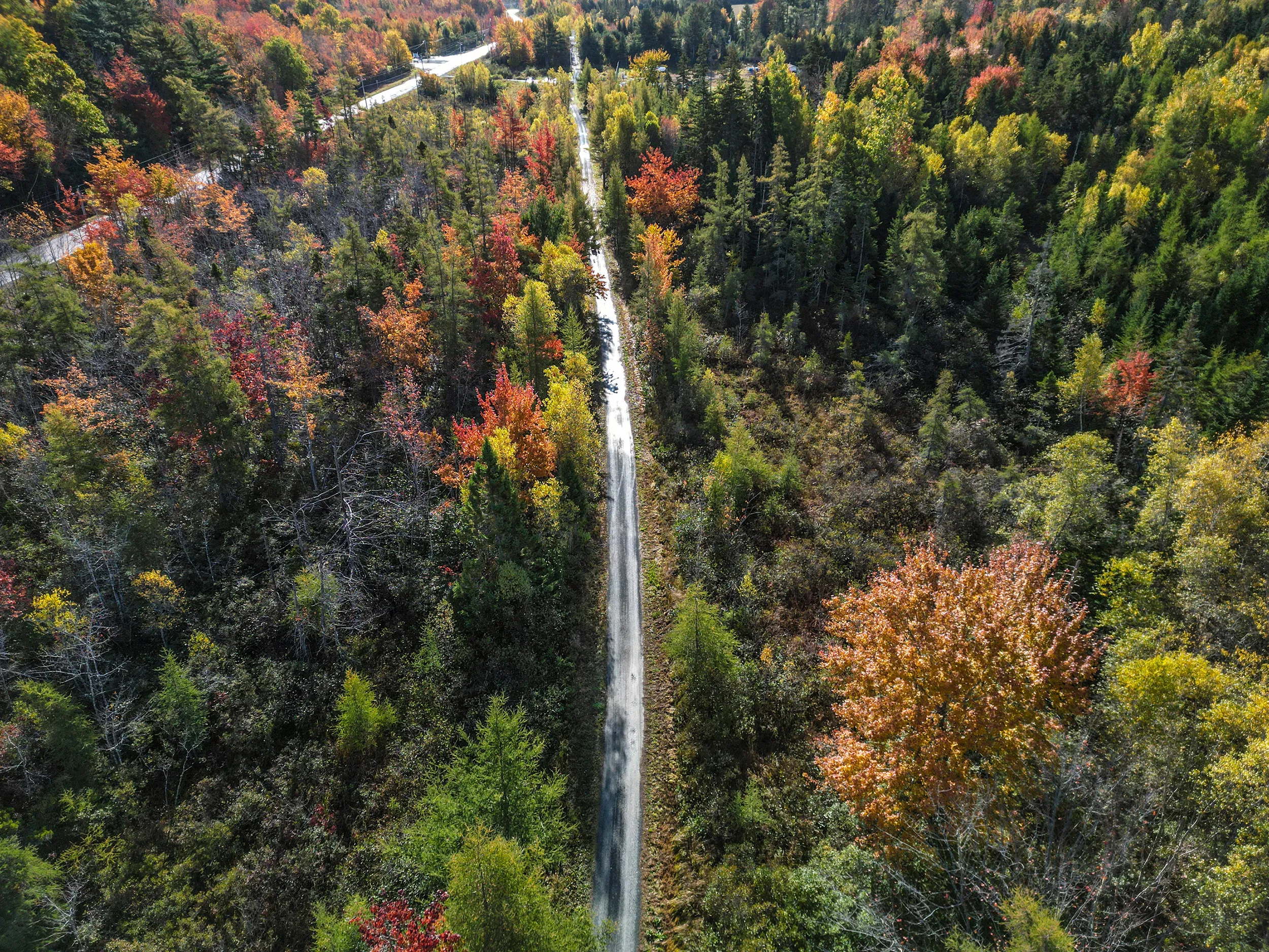 Bay to Bay Trail, Nova Scotia — gallery photograph 2 of 30