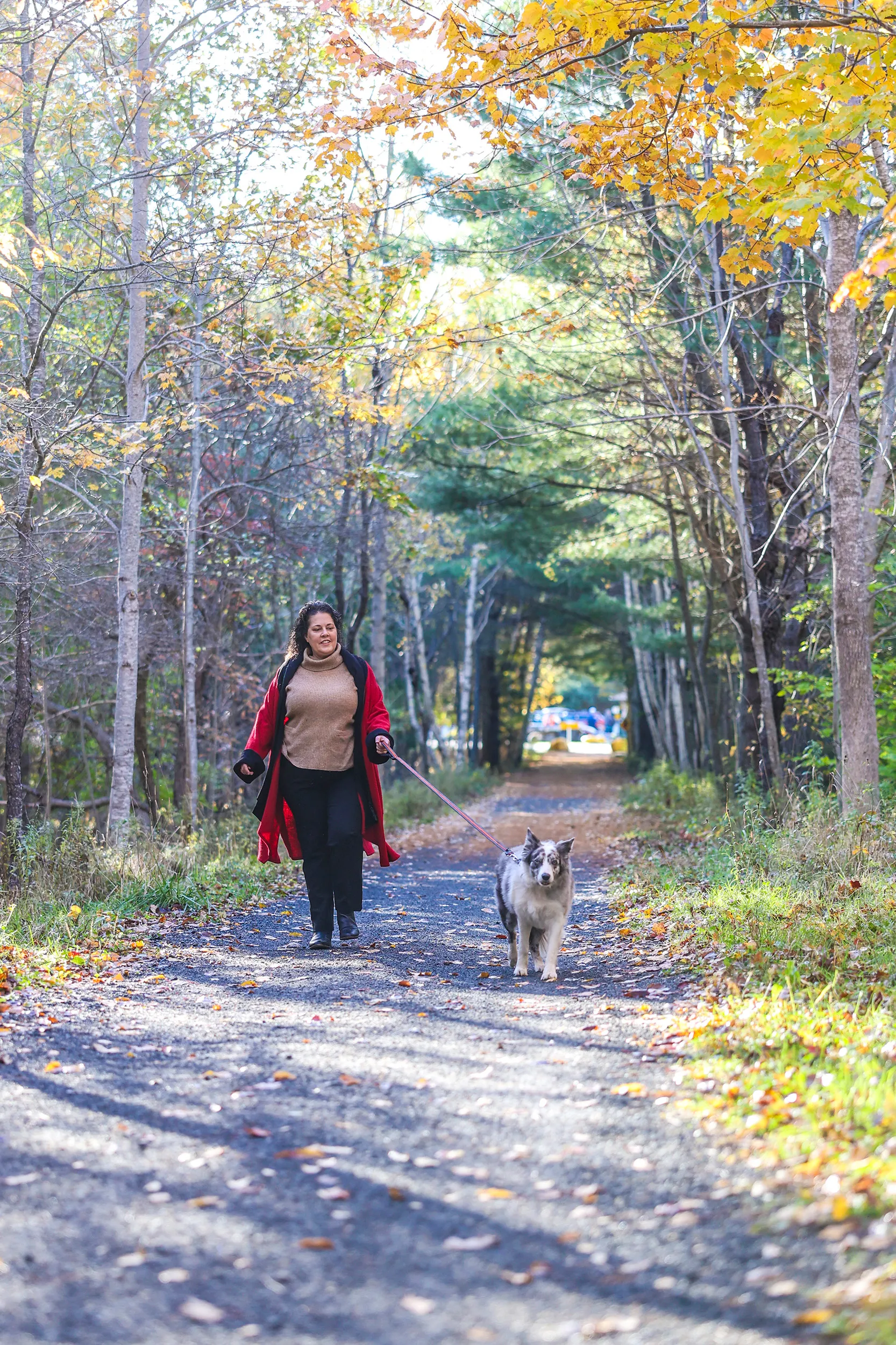 Bay to Bay Trail, Nova Scotia — gallery photograph 10 of 30