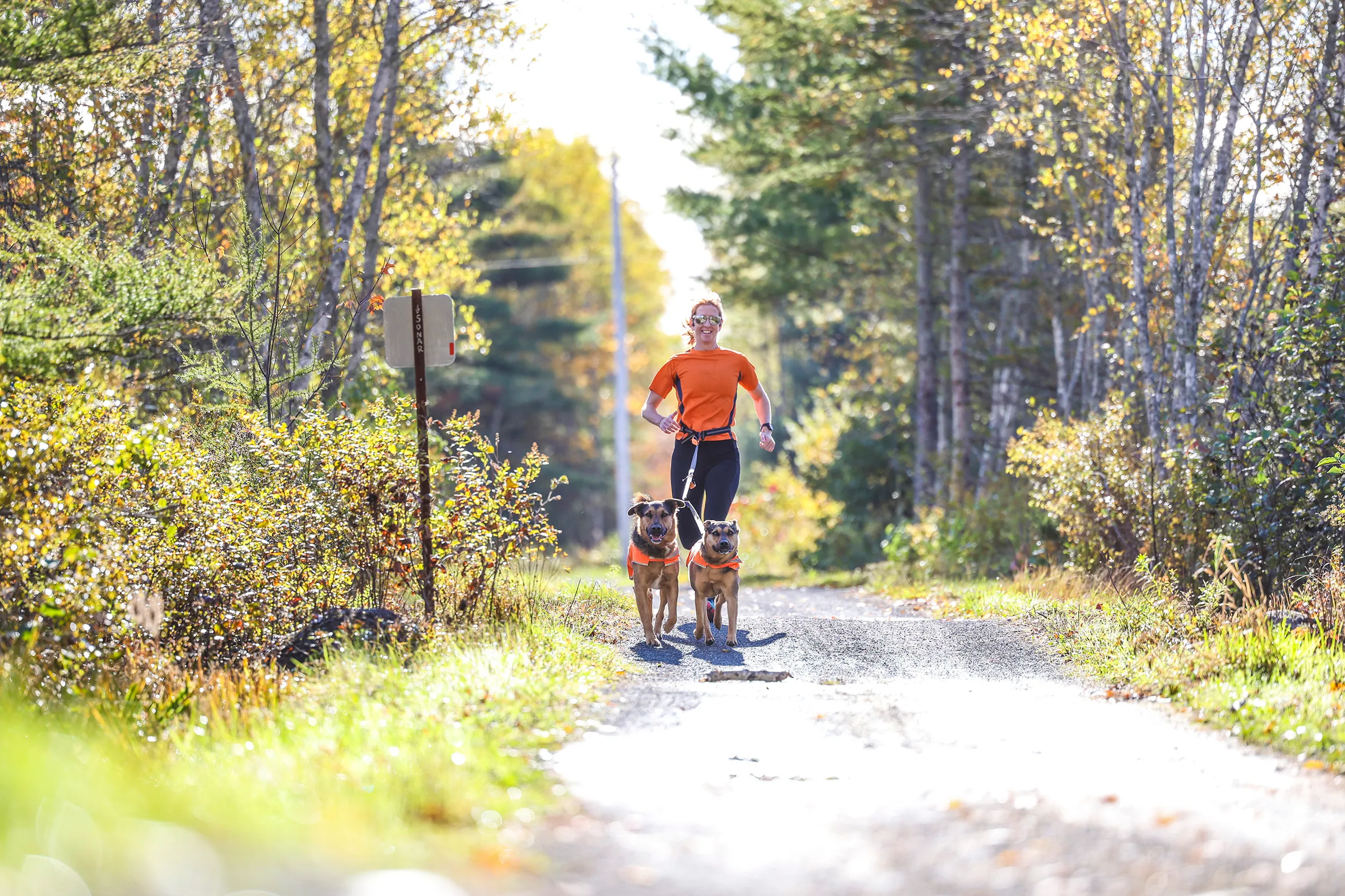 Bay to Bay Trail, Nova Scotia — gallery photograph 14 of 30