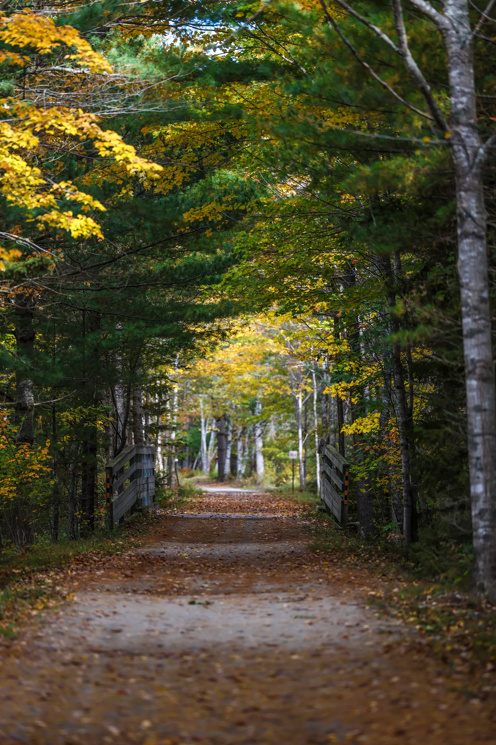 Bay to Bay Trail, Nova Scotia — gallery photograph 16 of 30
