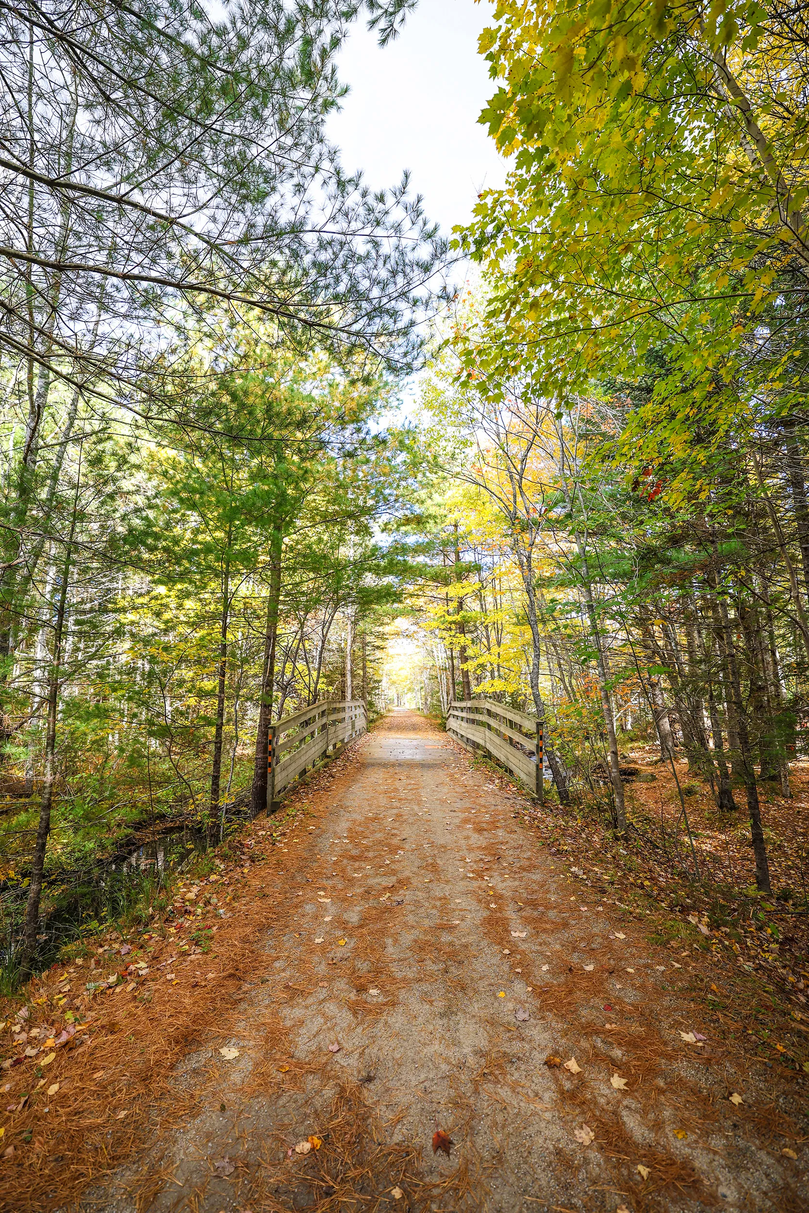 Bay to Bay Trail, Nova Scotia — gallery photograph 17 of 30
