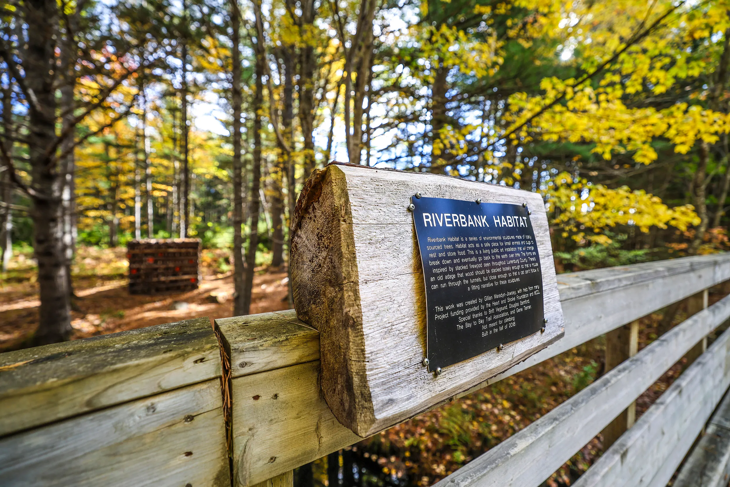 Bay to Bay Trail, Nova Scotia — gallery photograph 18 of 30