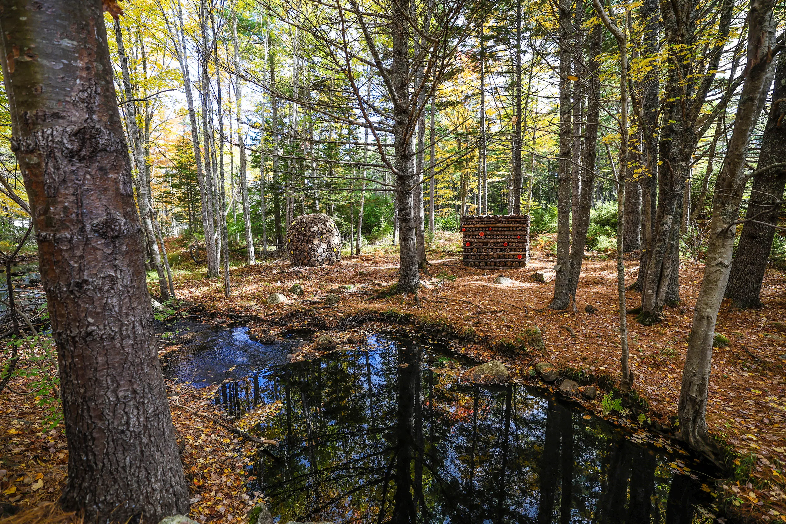 Bay to Bay Trail, Nova Scotia — gallery photograph 19 of 30