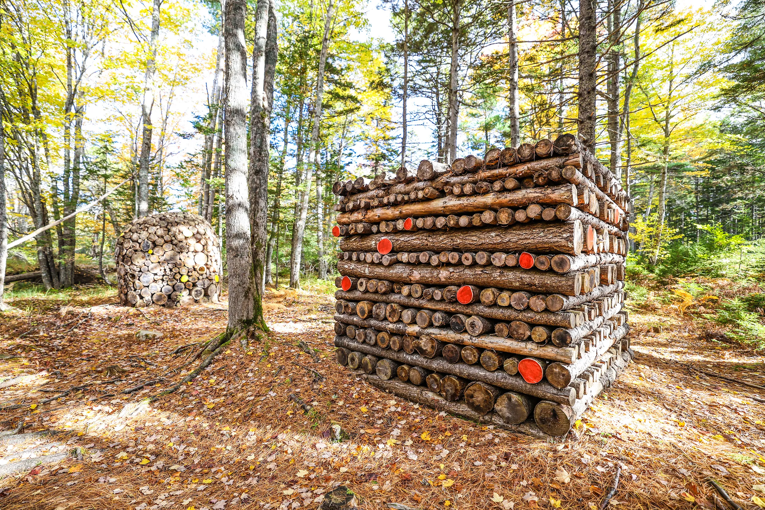 Bay to Bay Trail, Nova Scotia — gallery photograph 20 of 30