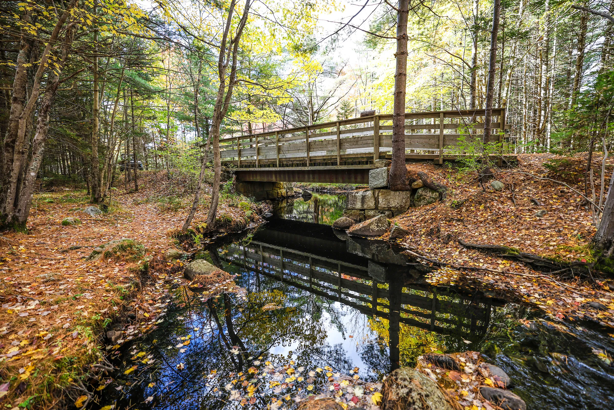 Bay to Bay Trail, Nova Scotia — gallery photograph 21 of 30