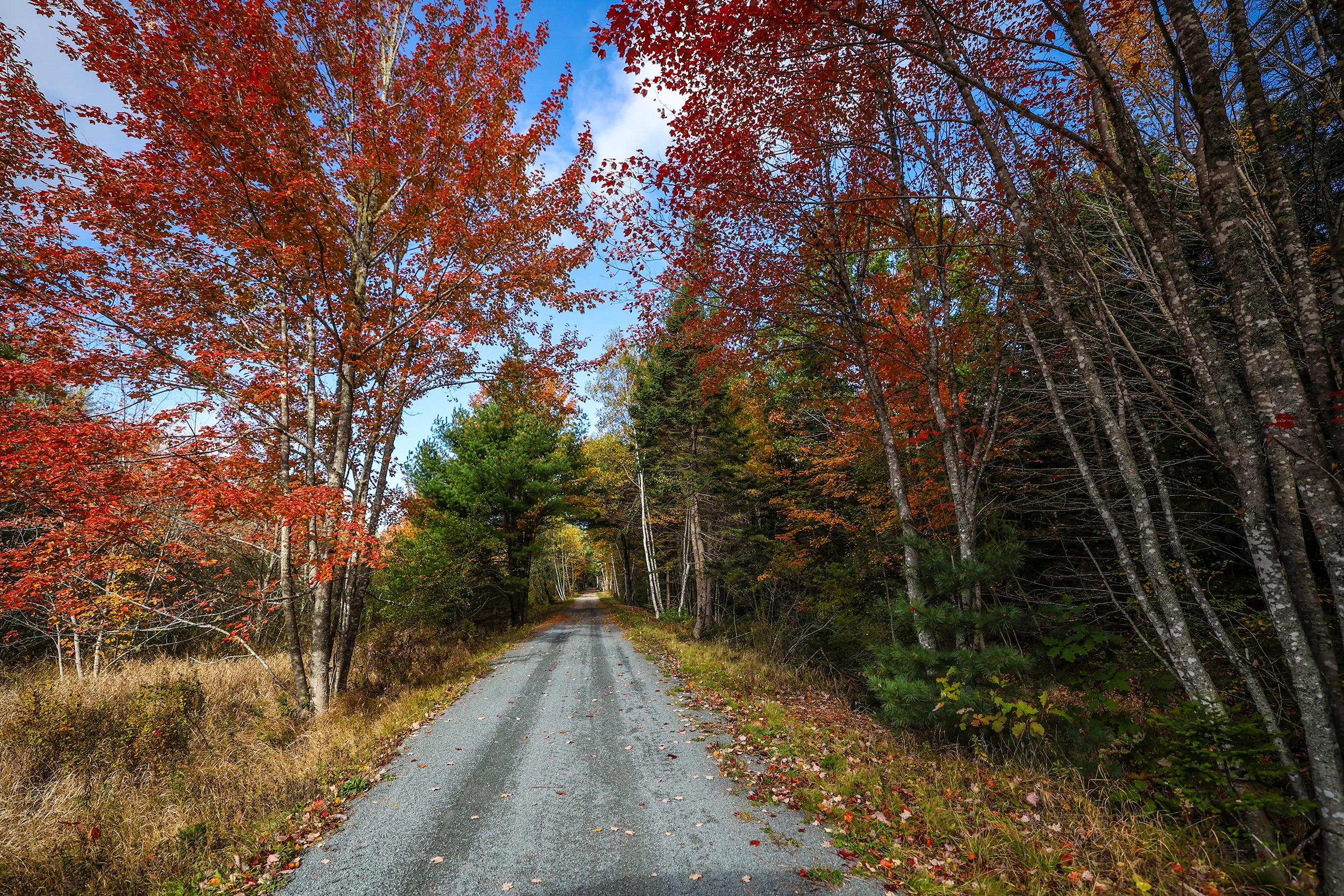 Bay to Bay Trail, Nova Scotia — gallery photograph 23 of 30