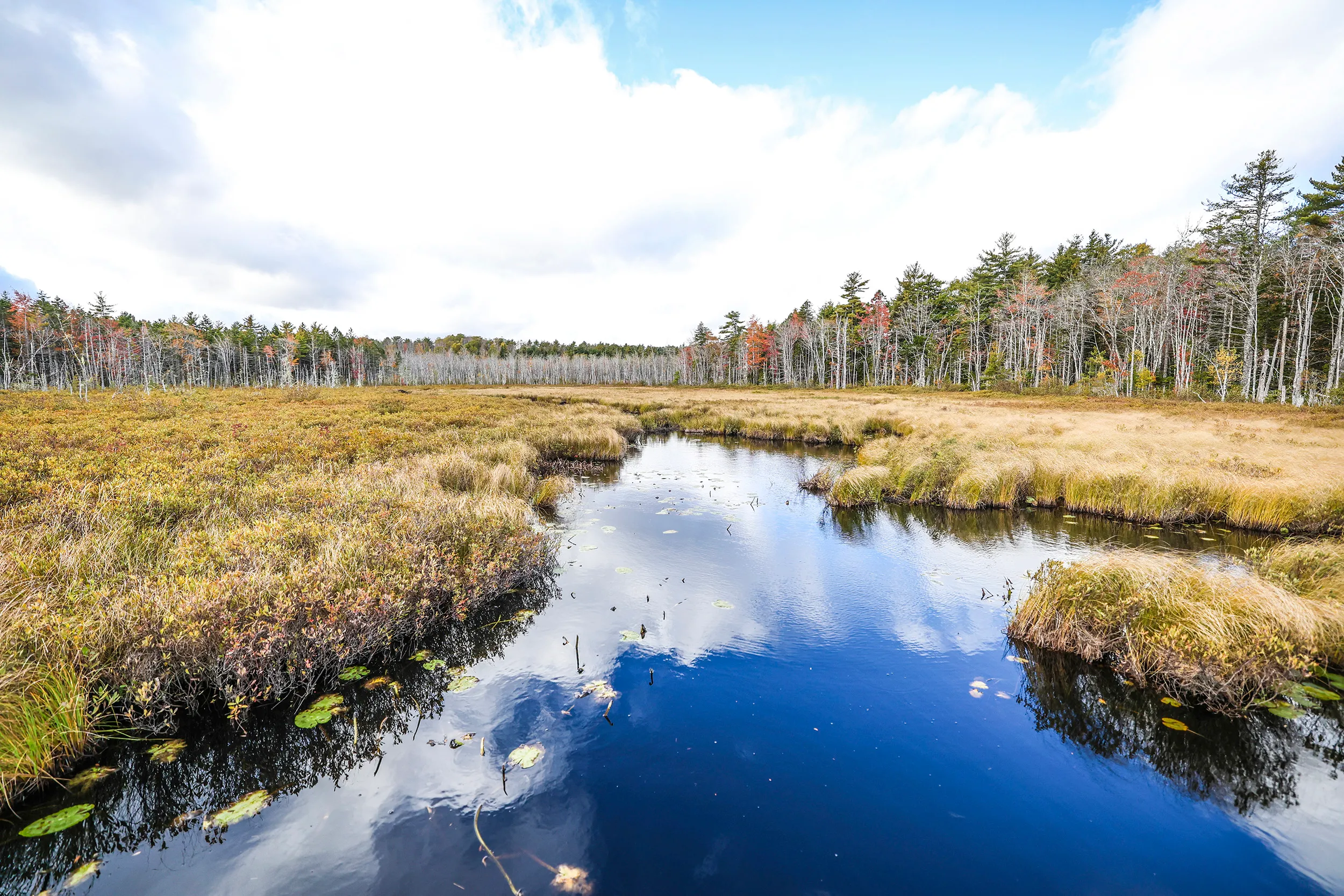 Bay to Bay Trail, Nova Scotia — gallery photograph 25 of 30